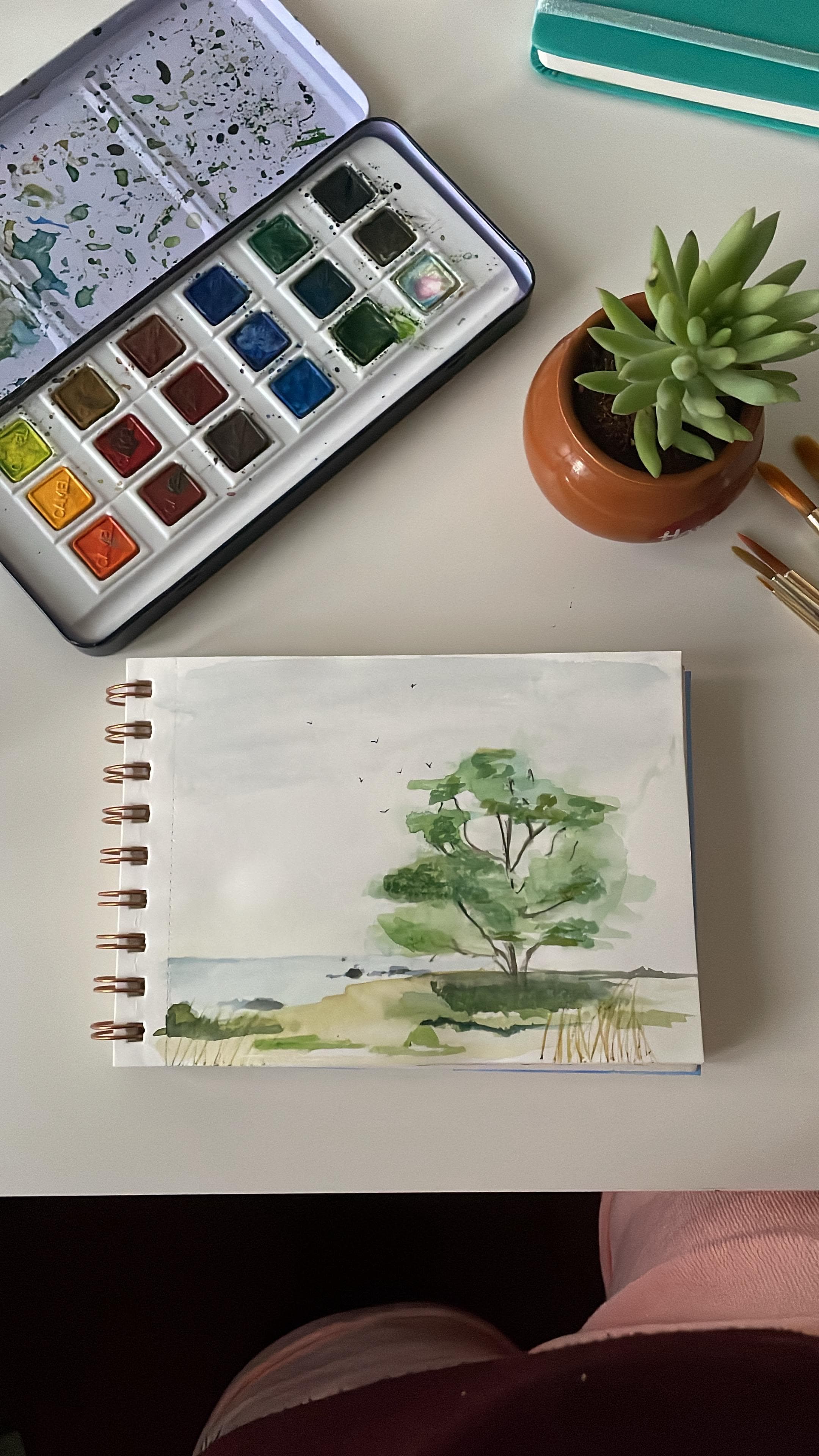 A pale watercolour of a tree beside blue water on a spiral sketchbook, photographed with a paint set and small succulent.